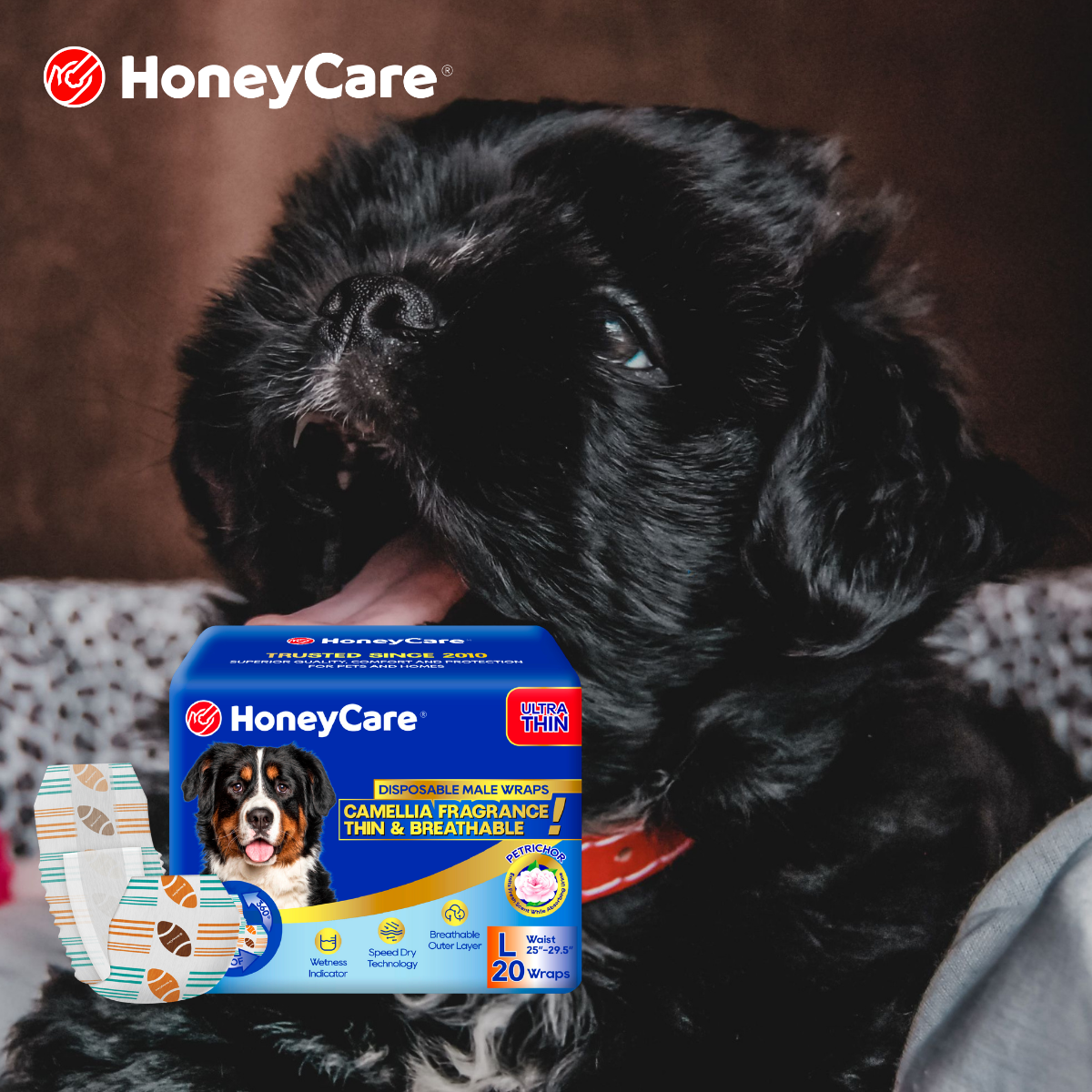 Dog Diaper and Pee Pad Sizing Hub: Every Chart in One Place