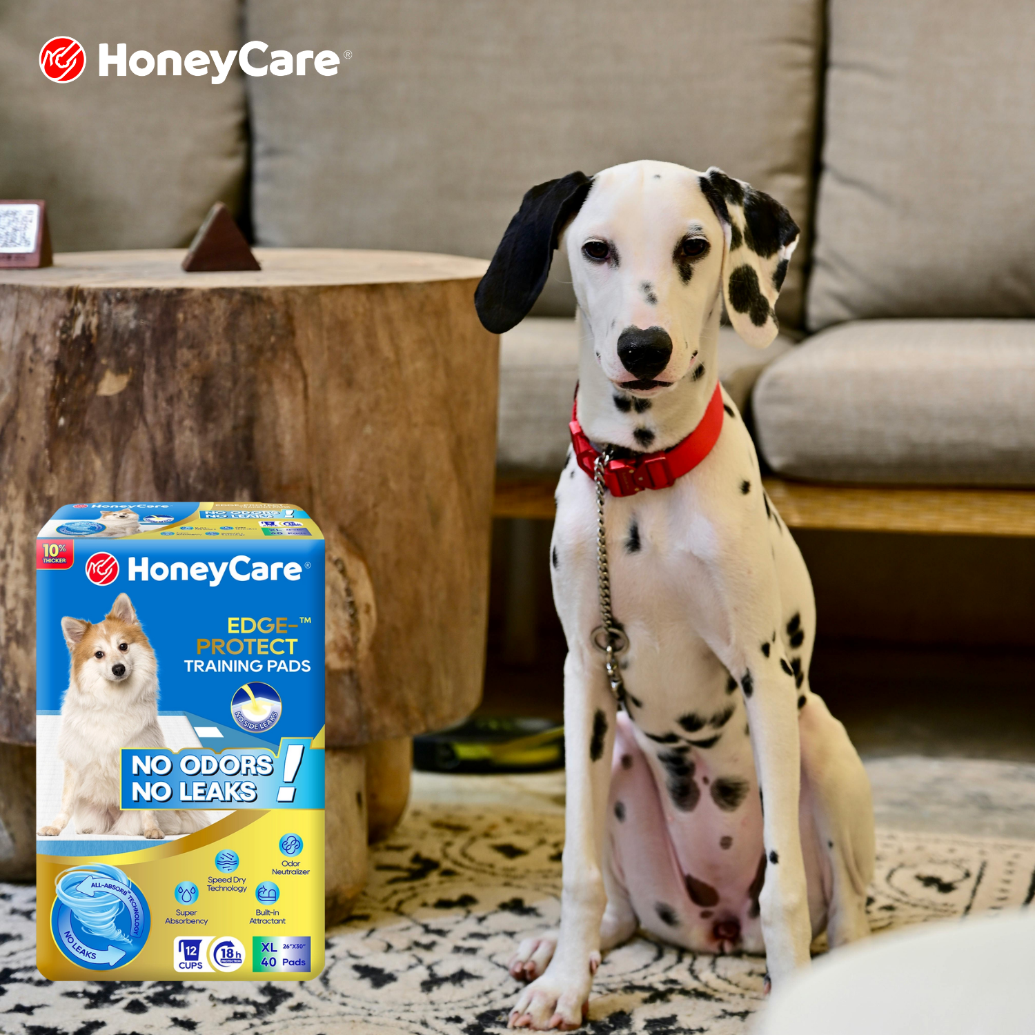 Potty Training Adult Dog Pee Pad: Shocking & Proven Fixes