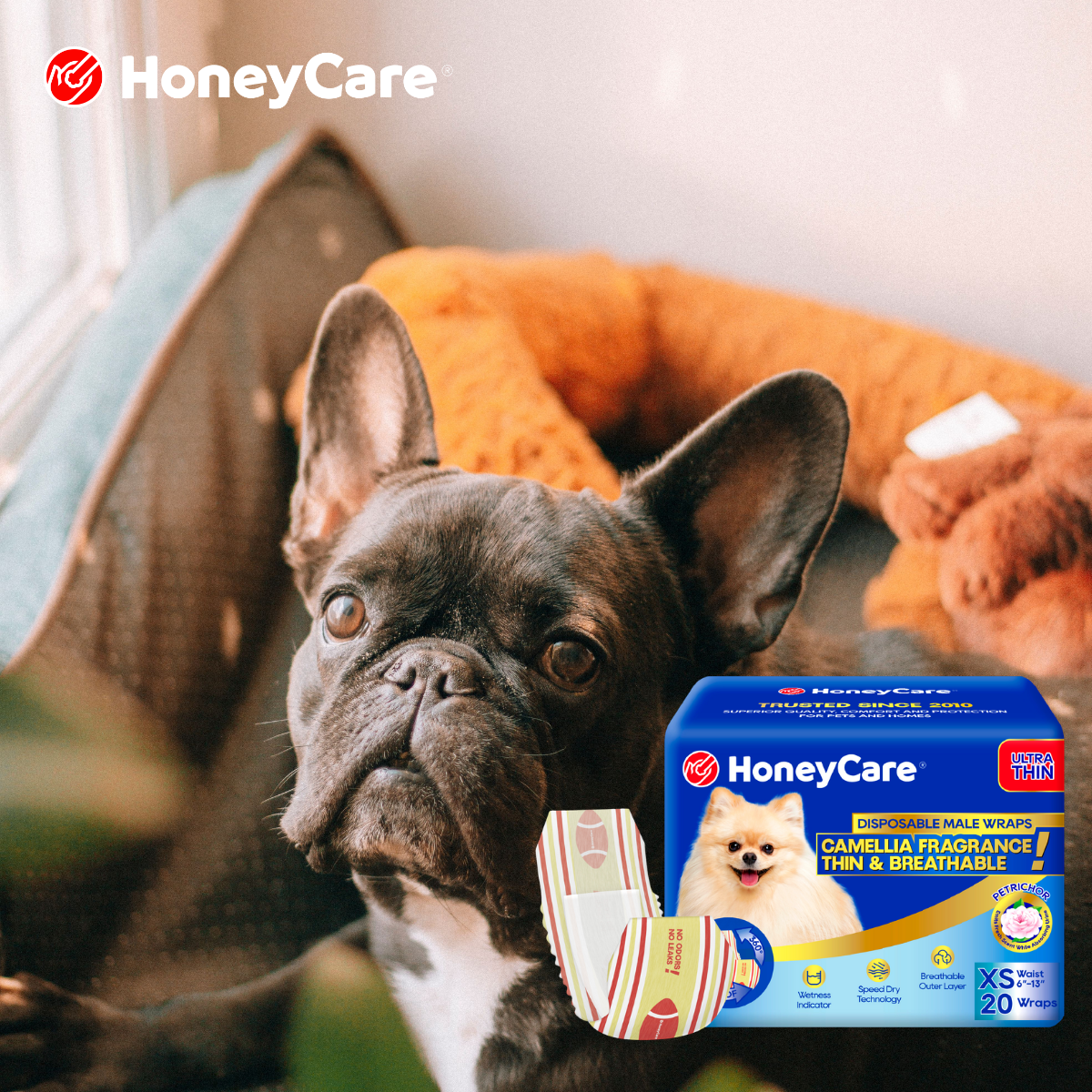 Emergency Pet Go-Bag: Essential Hygiene Supplies