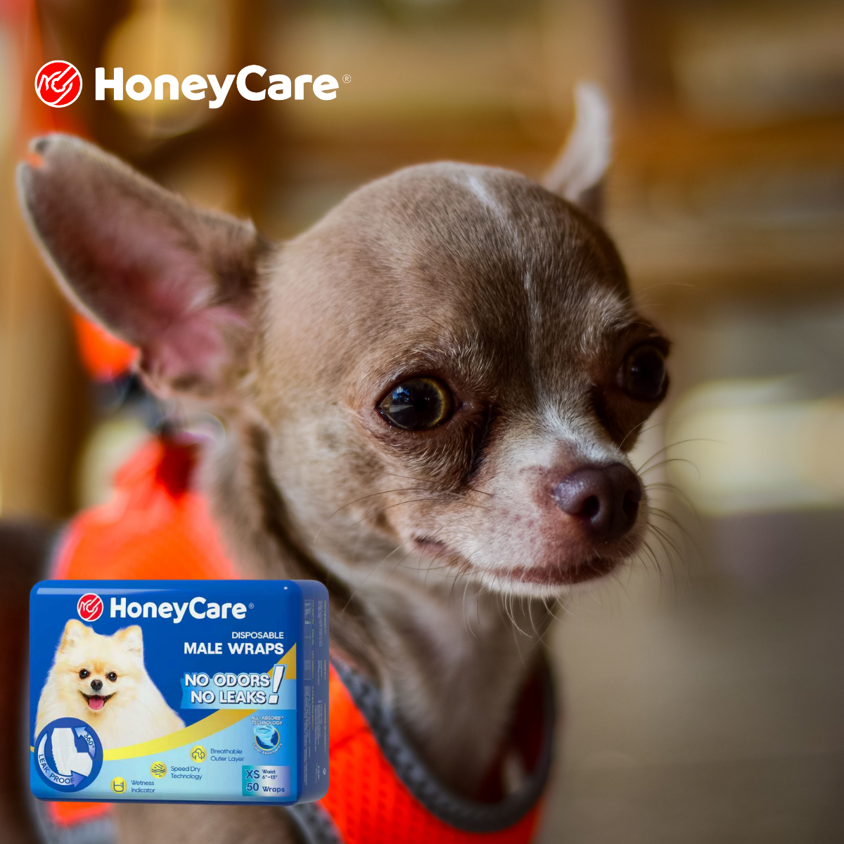 How to Dispose Dog Pee Pads: Brilliant Fixes to Stop Odors