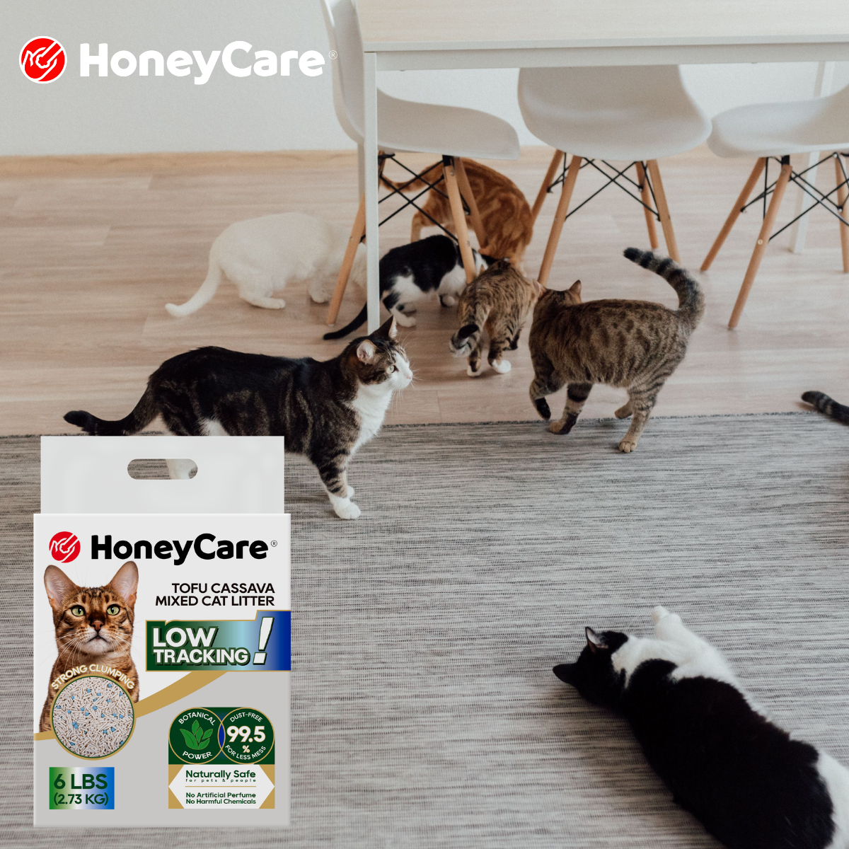 Cat Litter Mat Guide: What Actually Stops Tracking?