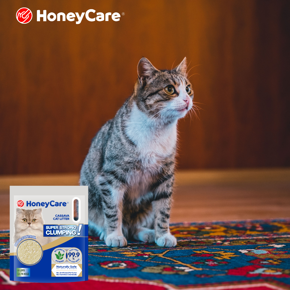 Cat Won't Use New Litter? Transition Tips That Help