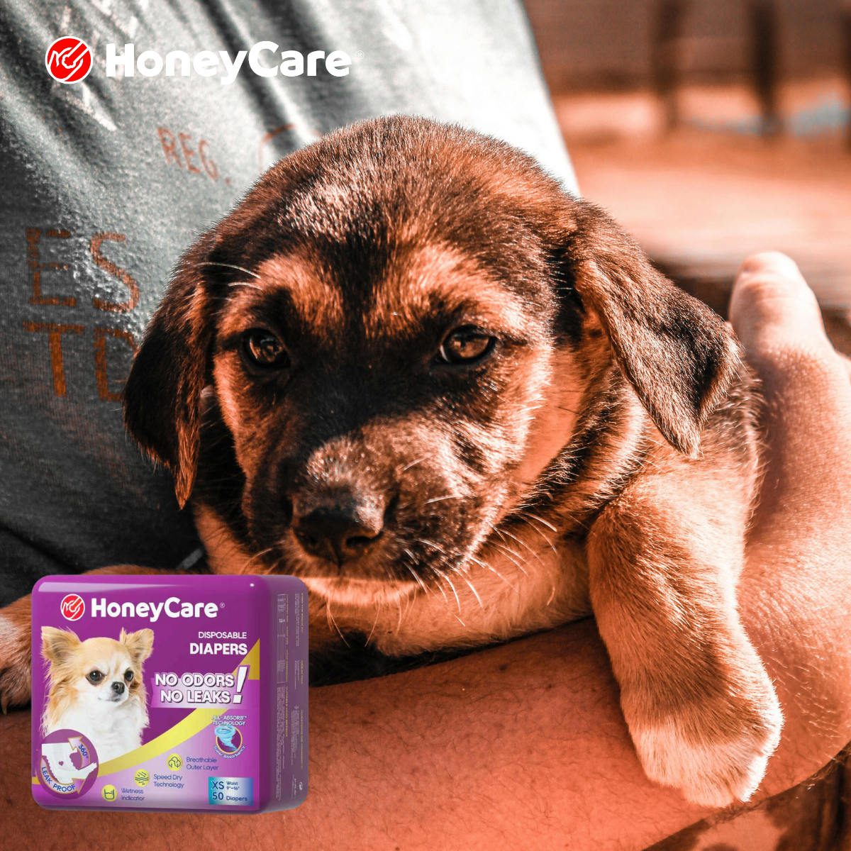 Best Period Diapers for Dogs: Ultimate Stress-Free Fix