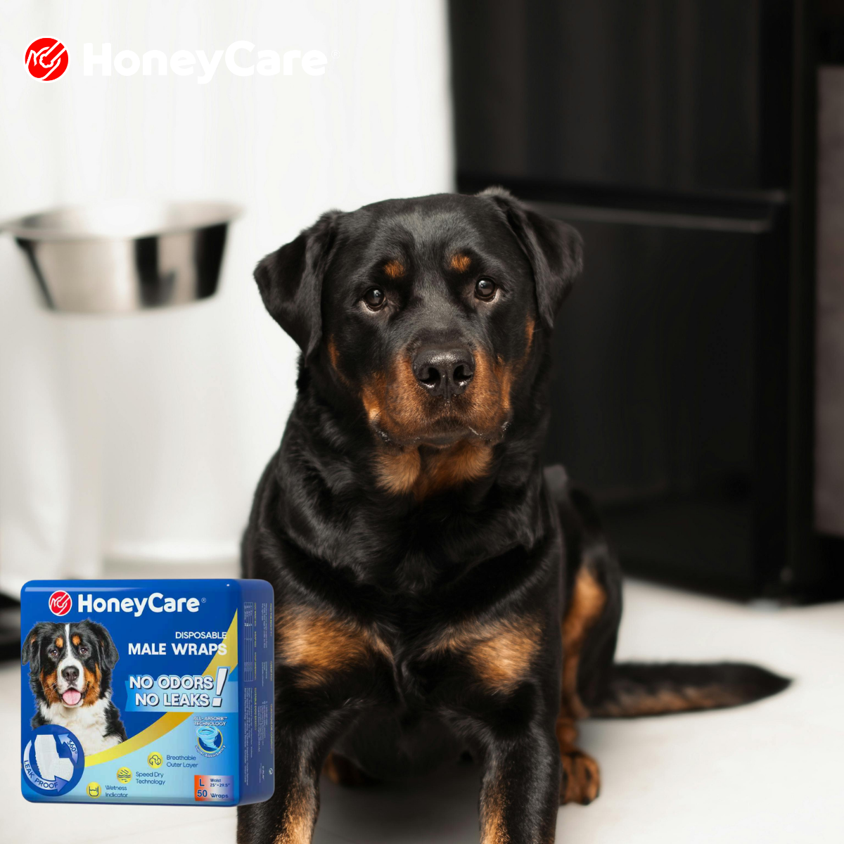 Can Dogs Sleep in Diapers Overnight? Safety, Tips & Best Practices