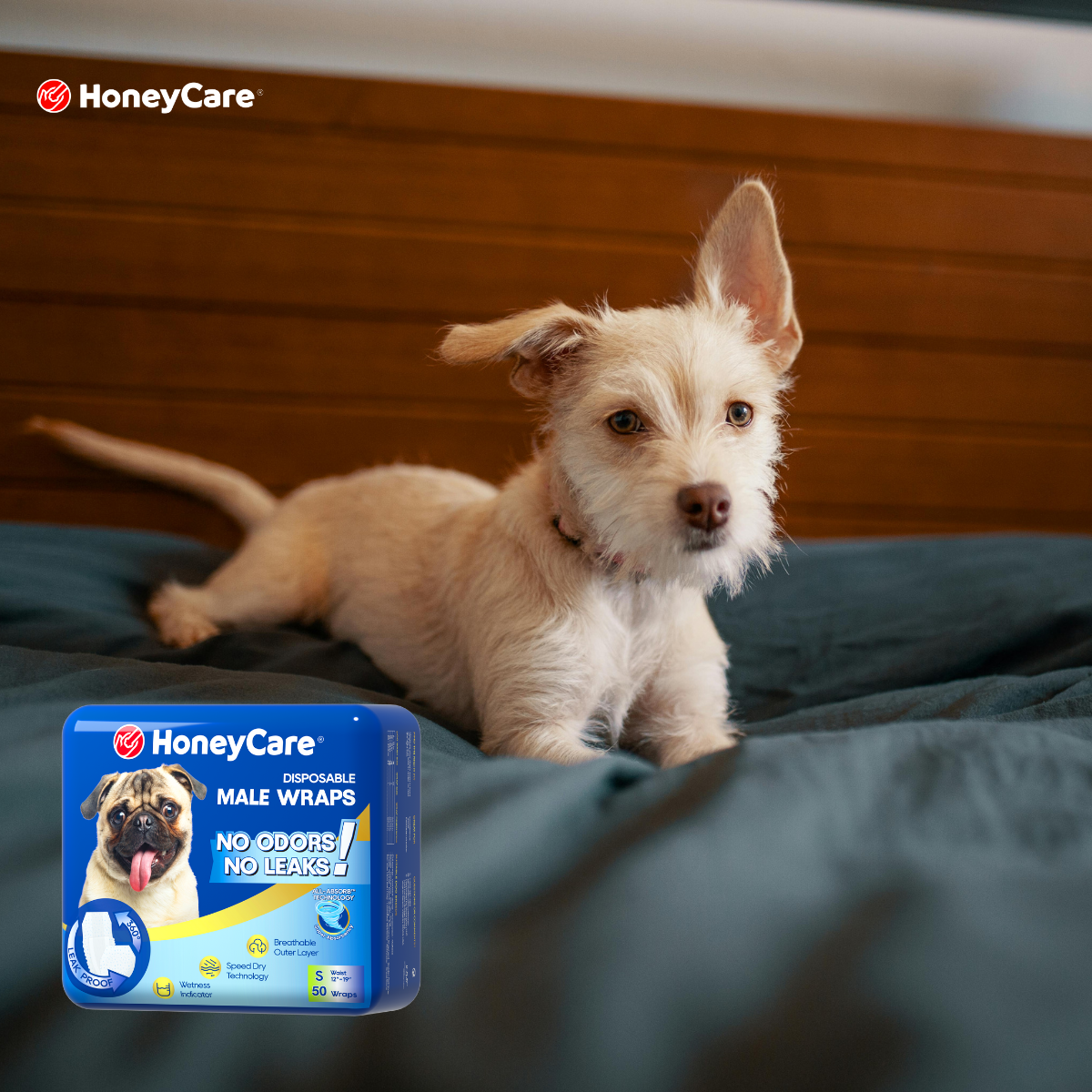 No More Messy Floors: Understanding the Science of SAP in Male Dog Wraps