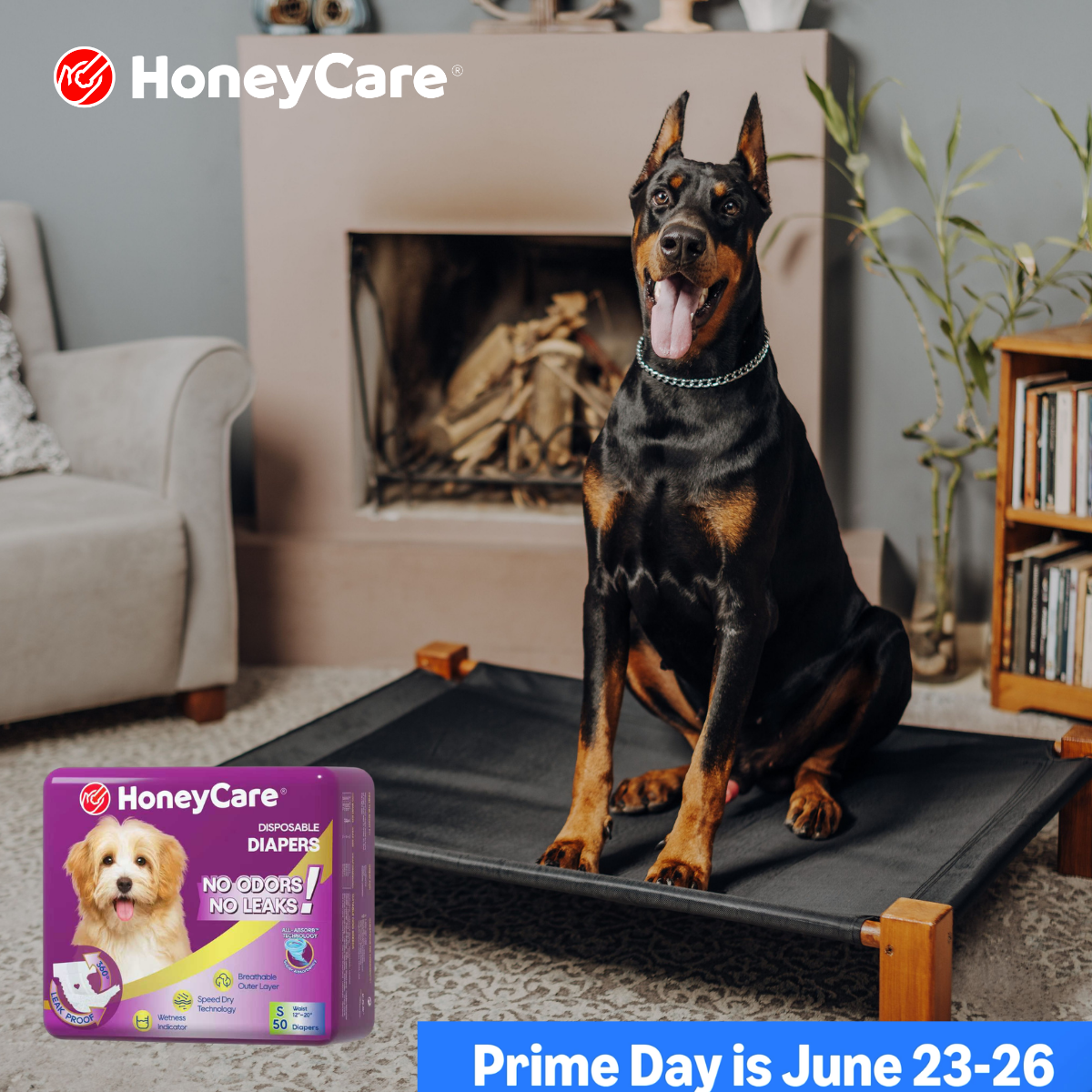 XXL Dog Pee Pads: Essential Guide for Cleaner Homes