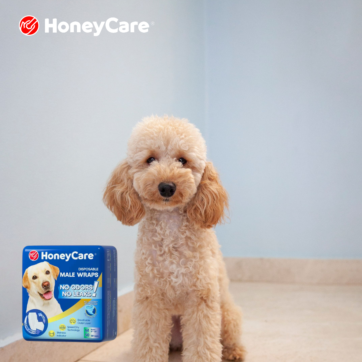 Dog Incontinence Red Flags: When Leaking Is an Emergency