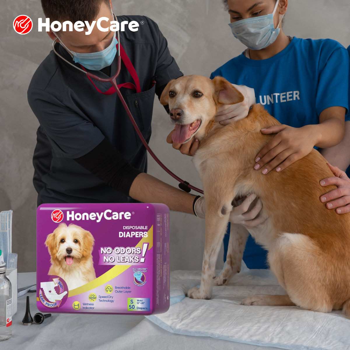 Dog Diaper Urine Burn: Prevention and Skin Care