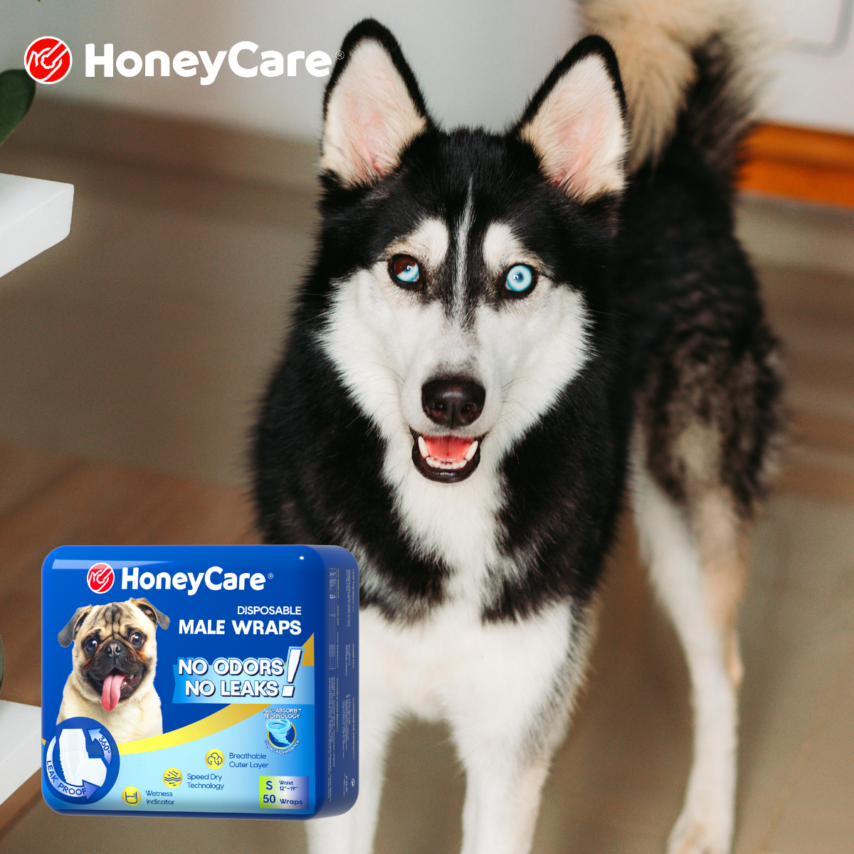 Puppy Diapers: The Only Guide You'll Ever Need (2026)