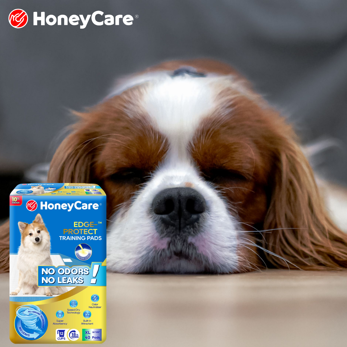 Apartment Dog Potty Solutions: The Ultimate Stress-Free Guide for High-Rise Living