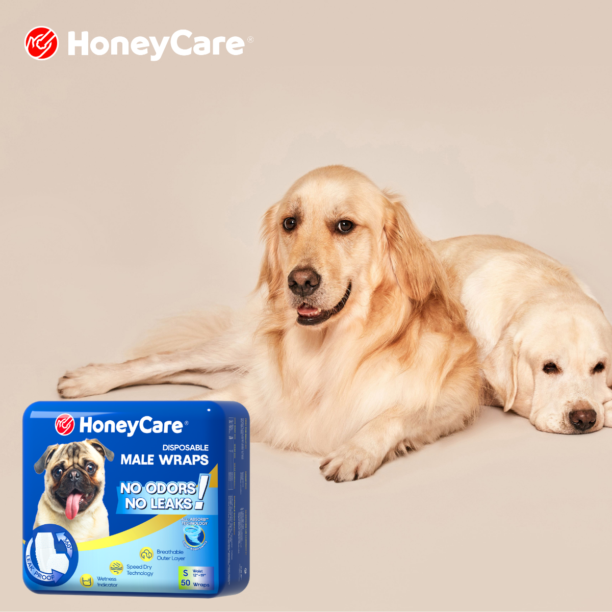 Dog Diapers and Male Wraps Guide for Cleaner Care