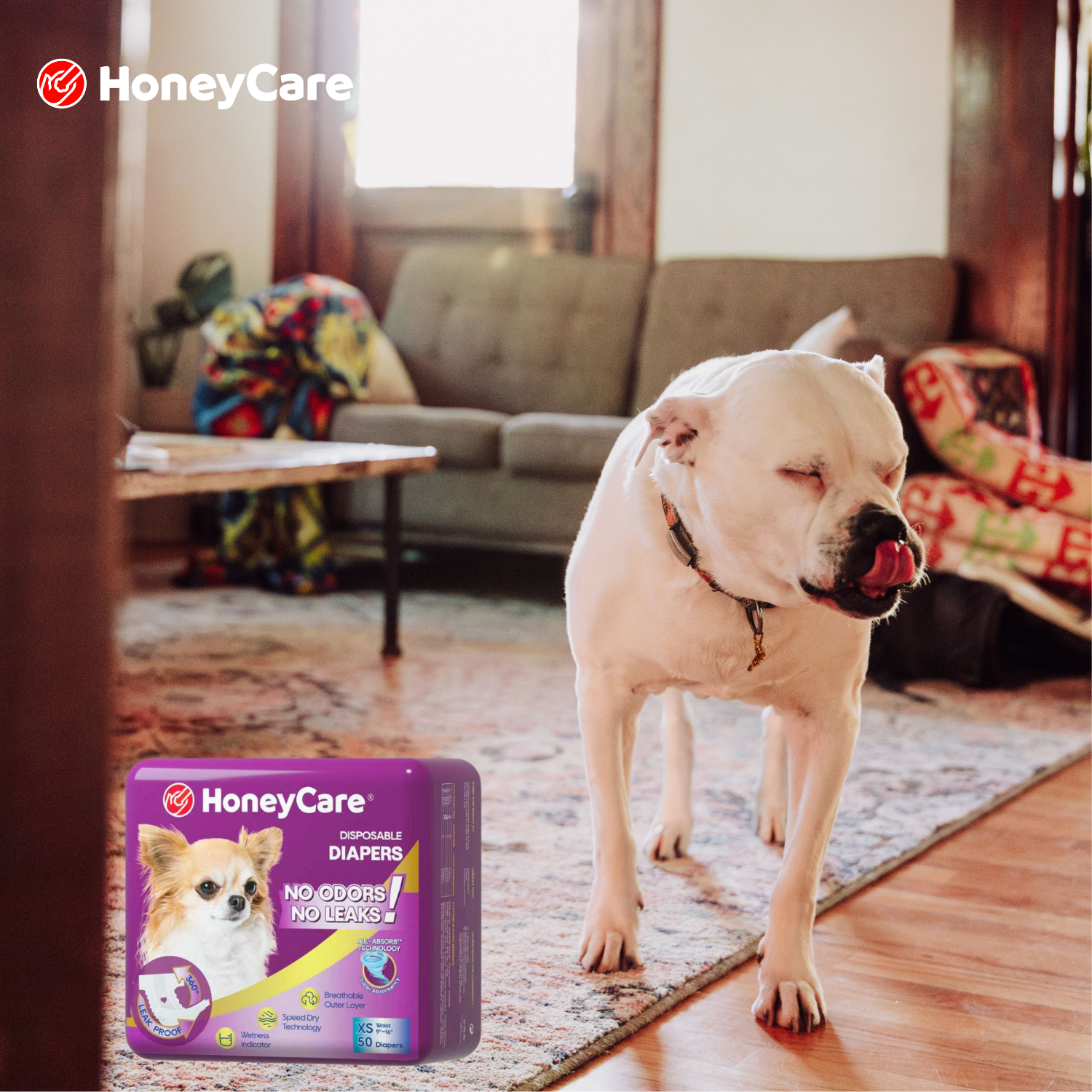 Pee Pad Odor Control: 7 Proven Fixes for a Fresh Home