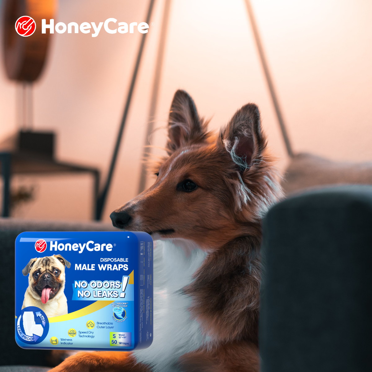 How Often Should You Change a Dog Diaper?