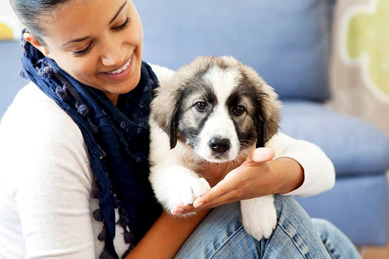 🐶 The Ultimate New Puppy Checklist & Training Guide