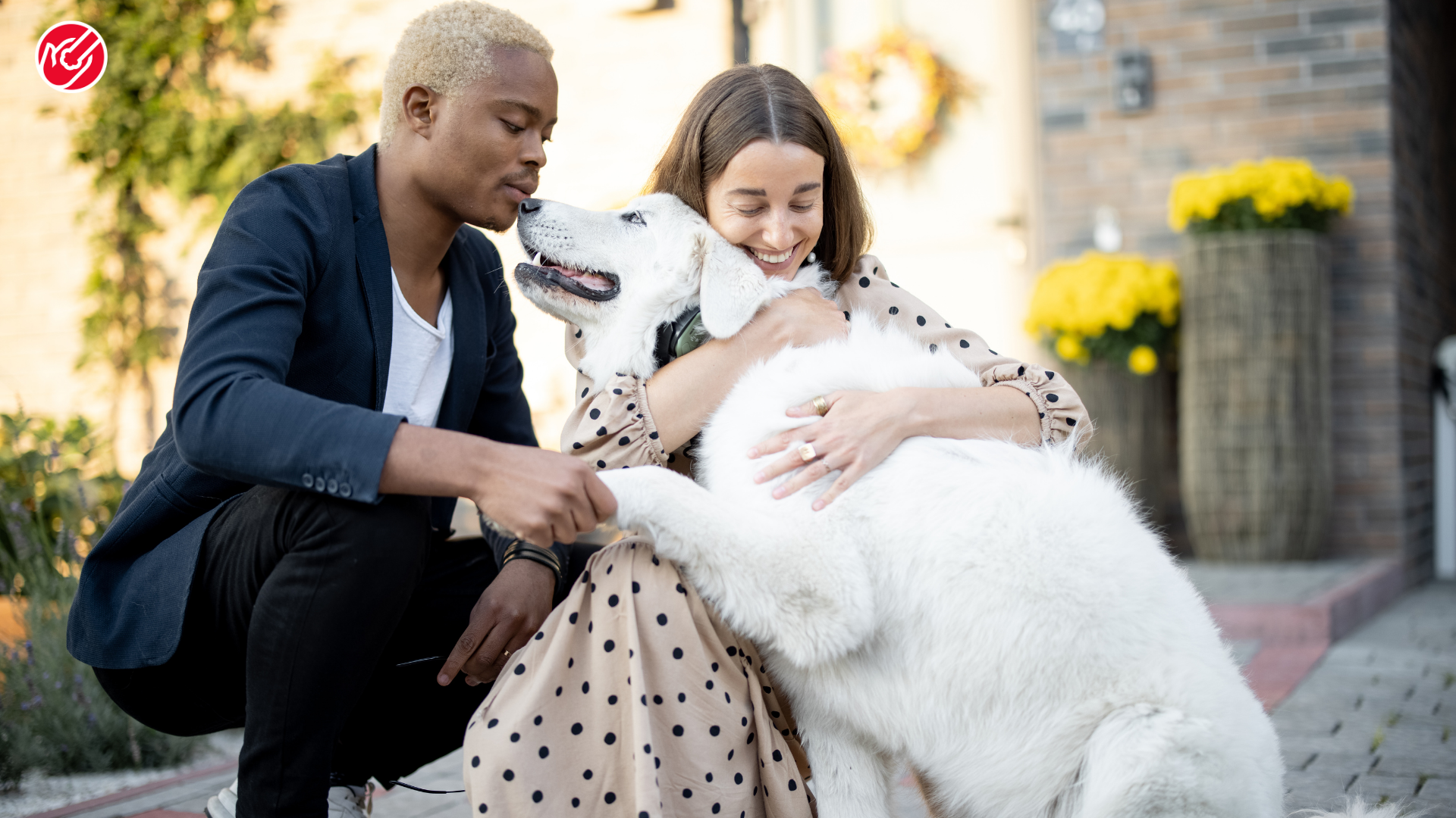The Ultimate Guide to Feeding a Diabetic Dog: Diet, Schedule, and Care Tips