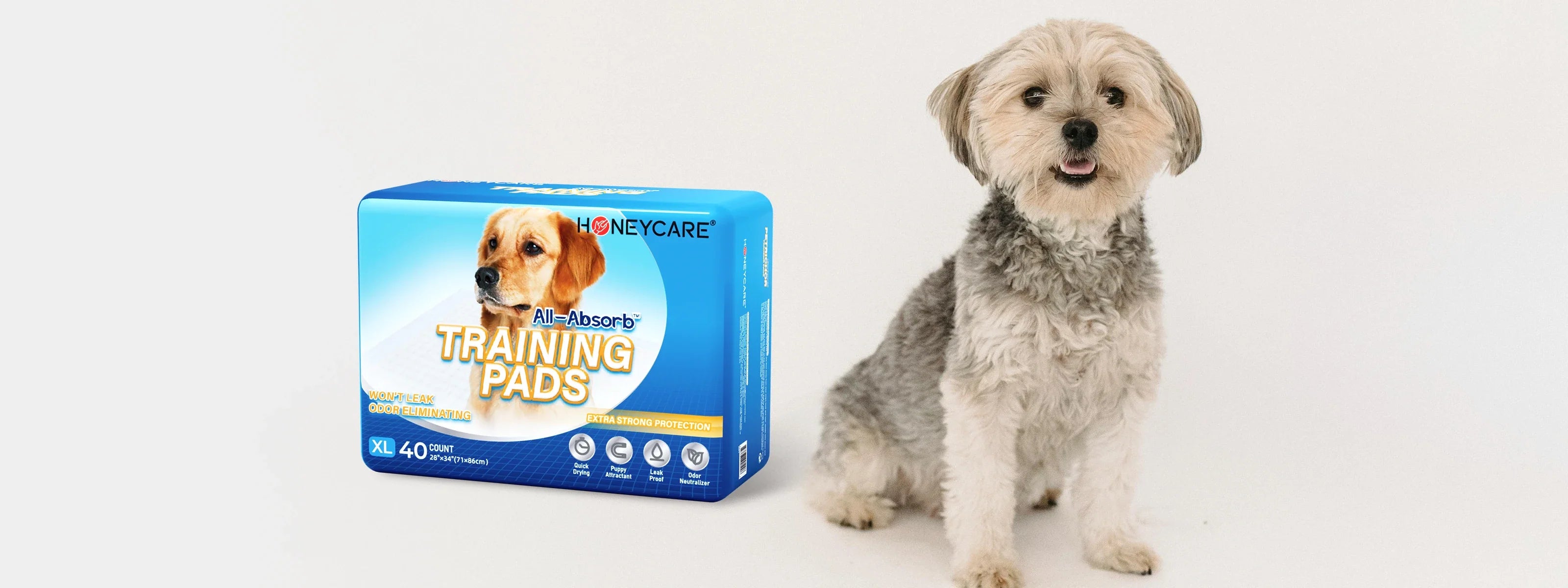 Potty Pad Training for Puppies and Senior Dogs: A Cleaner, Easier Way