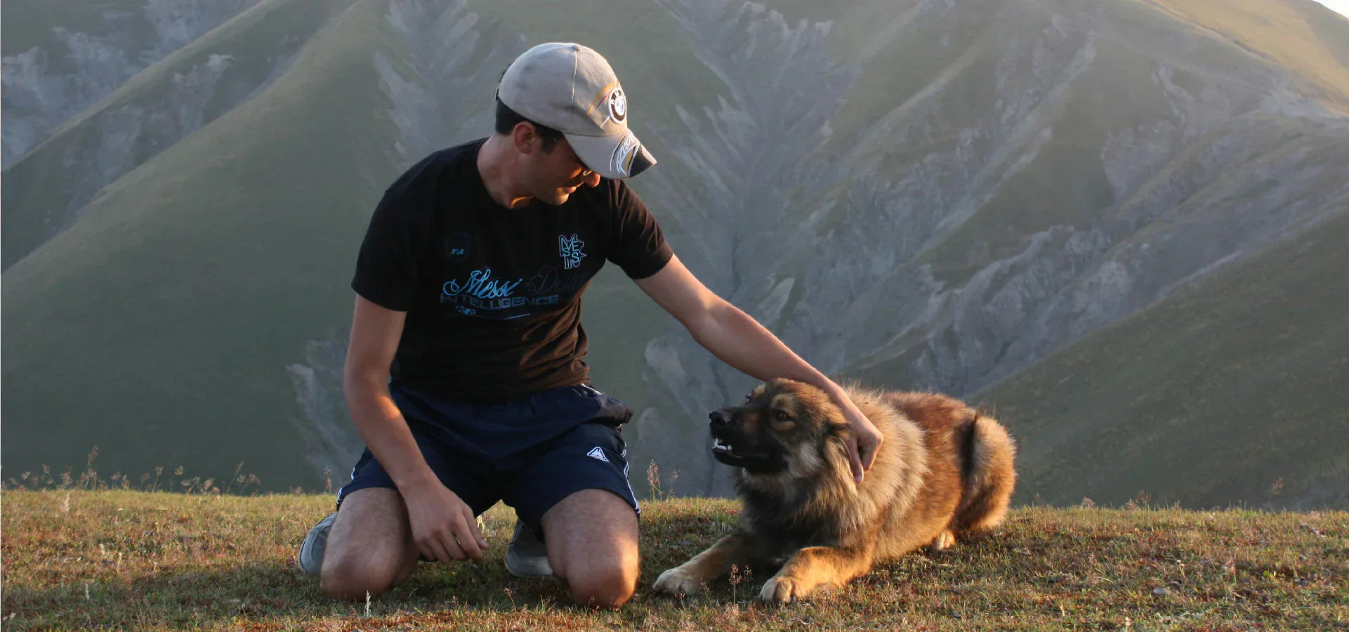 Five smart ways to keep your dog comfortable this summer