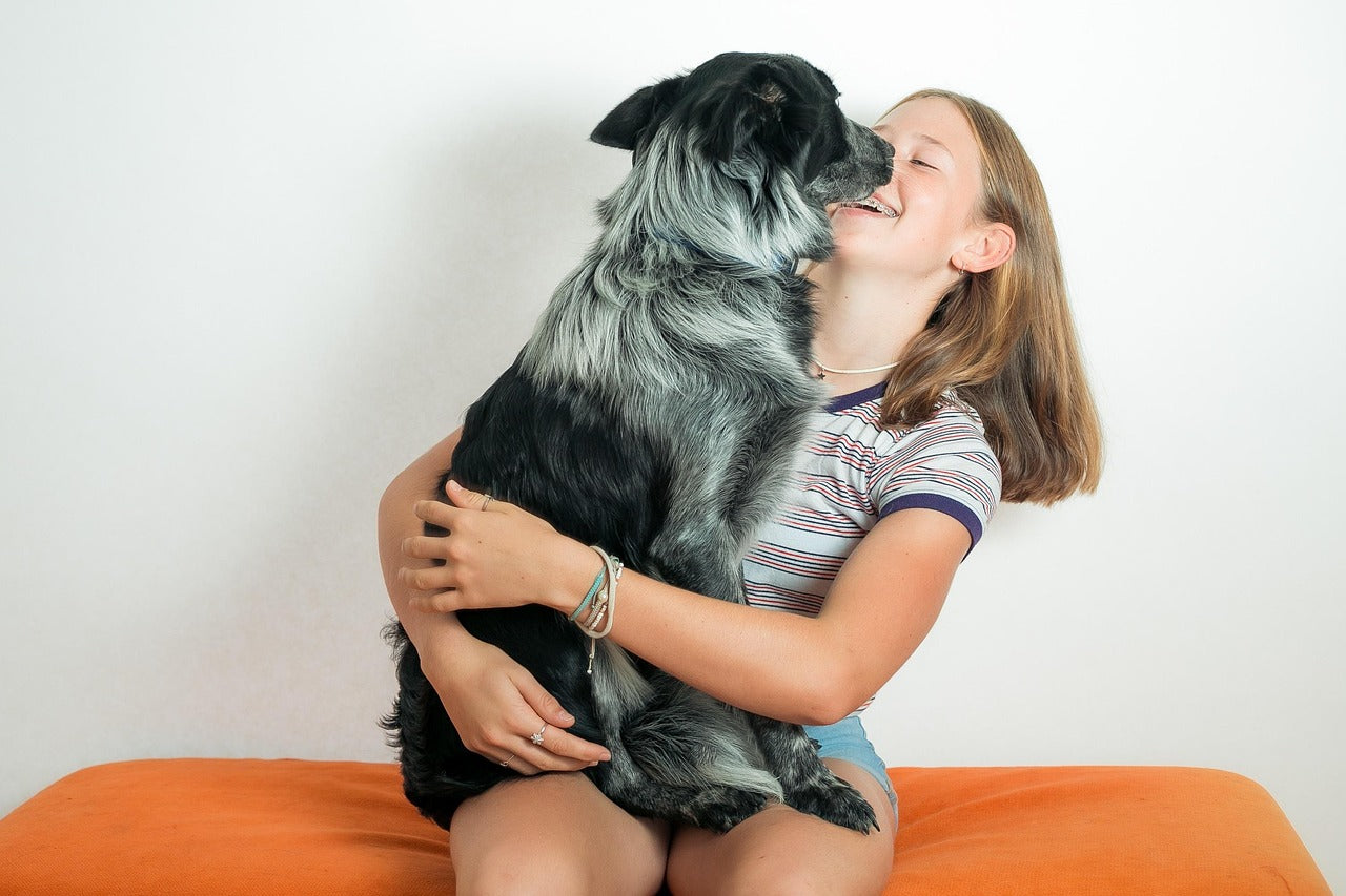 Are Dog Diapers Safe for Long-Term Use? What Pet Owners Need to Know
