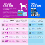 Honeycare Female Dog Diaper
