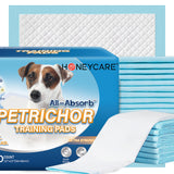 HoneyCare All-Absorb, Large  Dog and Puppy Training Pads, Ultra Absorbent and Odor Eliminating, Leak-Proof 5-Layer Potty Training Pads with Quick-Dry Surface, Blue 22" x 23 inch, 100ct (2 Packs)