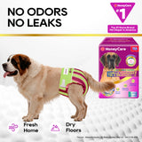 Honeycare Female Dog Diaper