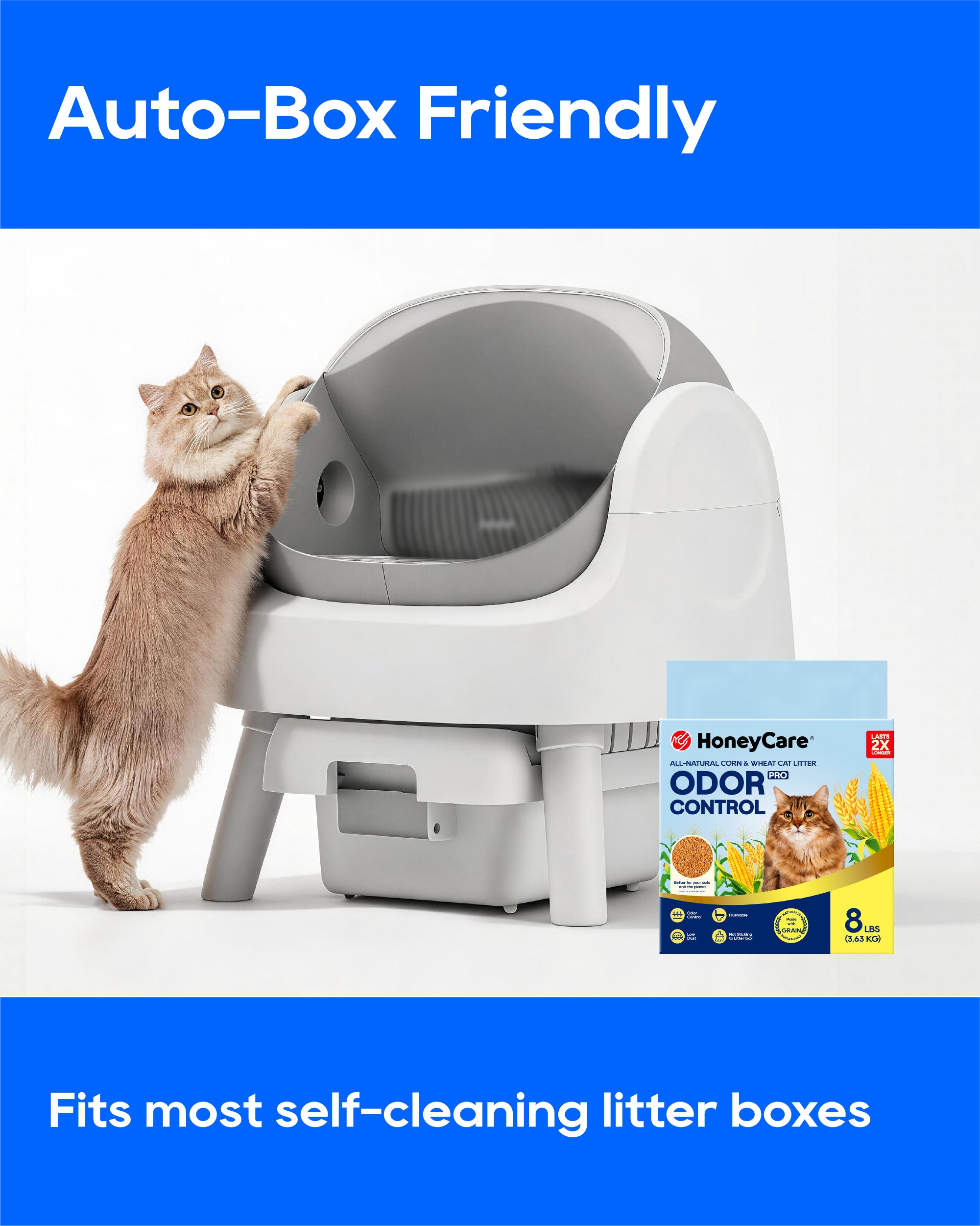A cat stands on its hind legs beside a white and gray self-cleaning litter box. The image includes marketing text reading 'Auto-Box Friendly' and 'Fits most self-cleaning litter boxes,' plus a HoneyCare OdorControl litter box package shown on the right.
