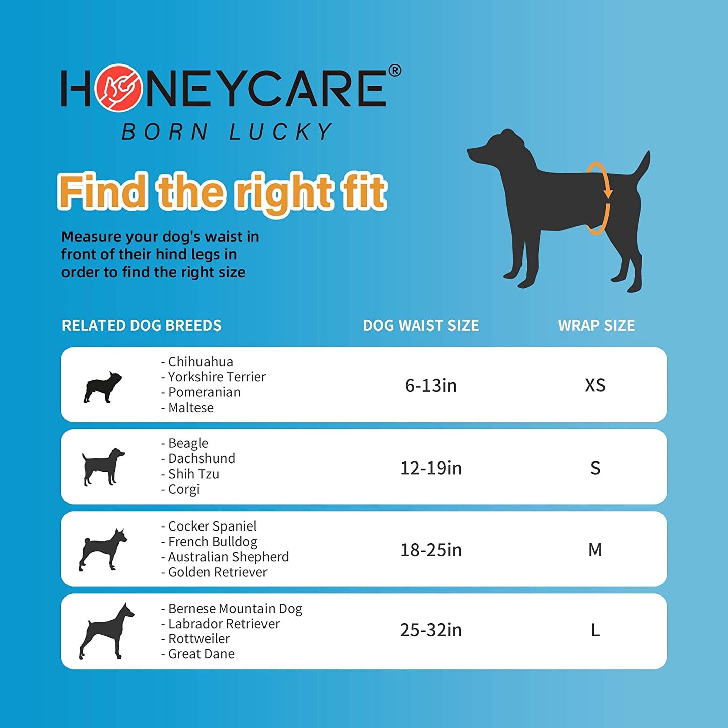 Honeycare New 32-count Package of Large Size Male Dog Wraps, 9-bag Value Pack, Total 288 Count