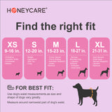 HoneyCare Female Disposable Dog Diapers