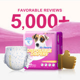 Female Dog Diapers Small（12-20 inches 2packs）