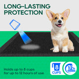 HoneyCare® Dog Carbon Adsorption Training Pads (1 Pack)