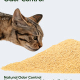 HONEY CARE All-Natural Corn & Wheat Clumping Cat Litter