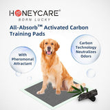 HoneyCare Carbon All-Absorb Puppy Training Pads Dog Potty Pads Absorb Eliminating Urine Odor, Jumbo-Size Charcoal Puppy Pee Pad XL 28x34 inch, 40ct (2 Packs)