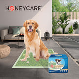 HONEY CARE Dog Training Pads with Grassfield & Fire Hydrant Printing丨Eliminating Urine Odor Puppy Pads 丨 Premium Dog Pee Pads (100 Count, 22x23 inch 2packs)