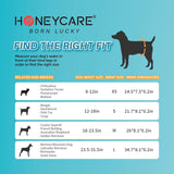 HoneyCare Printed All Absorb Petrichor Male Dog Wrap, Fresh Scent Disposable Diapers, Extra Small, 100ct (2 Packs)