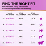 Honeycare Female Dog Diaper