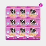 HoneyCare® Female Disposable Dog Diapers（6 Pack）