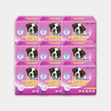 HoneyCare Female Disposable Dog Diapers