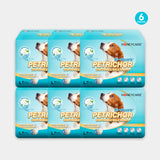 HoneyCare® Petrichor Male Dog Wrap（6 Pack）