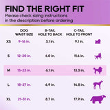 HoneyCare® Female Disposable Dog Diapers (1 Pack)