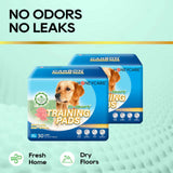 HoneyCare® Dog and Puppy Training Pads with Printed Grass