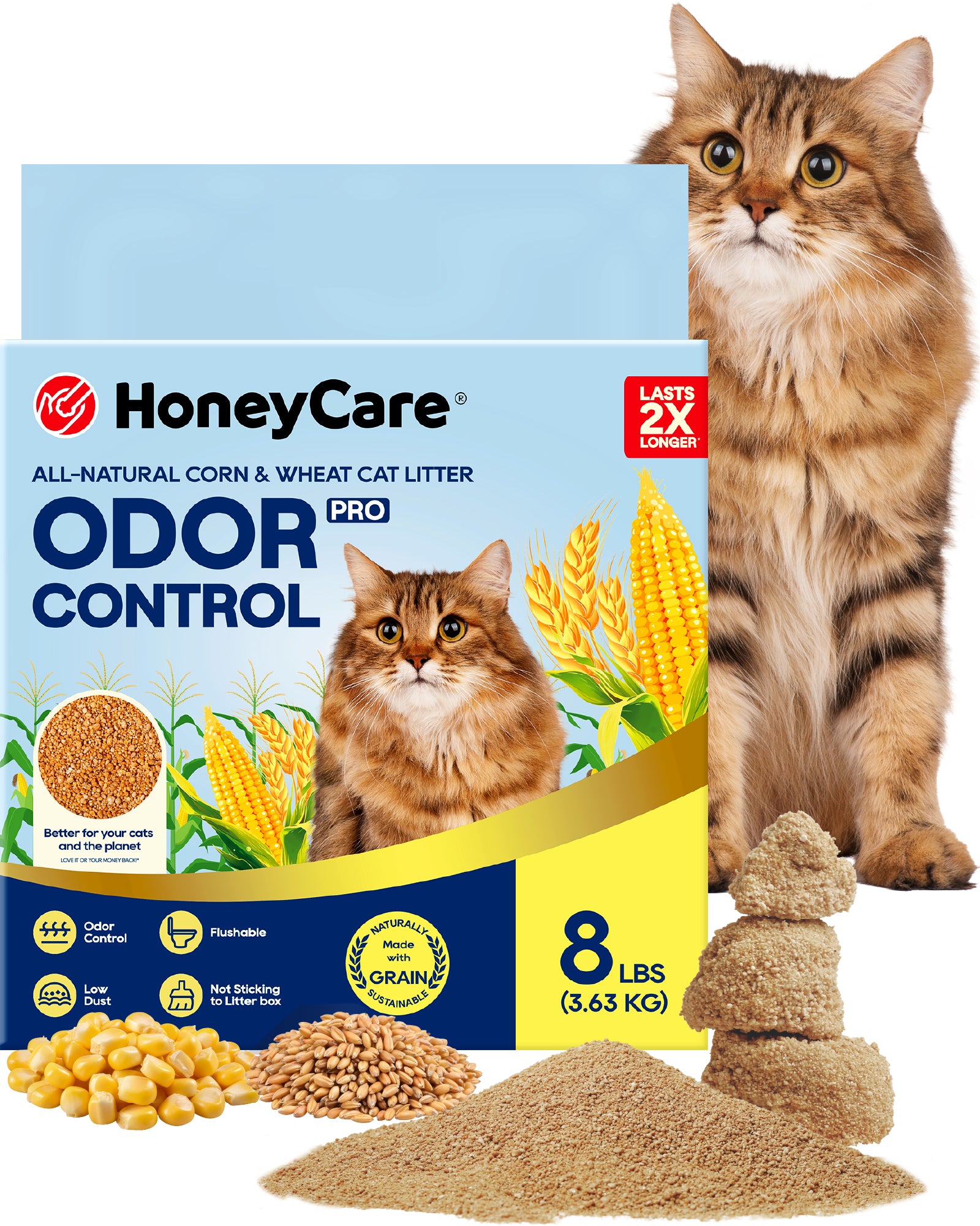 HoneyCare Pro Odor Control cat litter packaging shown with a long-haired orange tabby cat standing behind the box, plus loose litter samples and corn imagery on a white background.