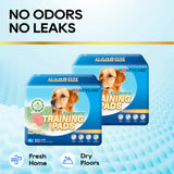 HoneyCare® Dog and Puppy Training Pads with Printed Grass（4 Pack）