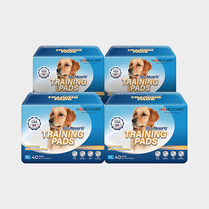 28 x 34 X-Large Dog Training Pads, 4 Packs, 160 Count – Honeycarepets