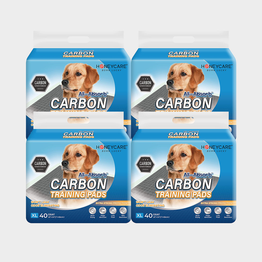 Honeycare Charcoal Puppy Pee Pad, 4 Packs